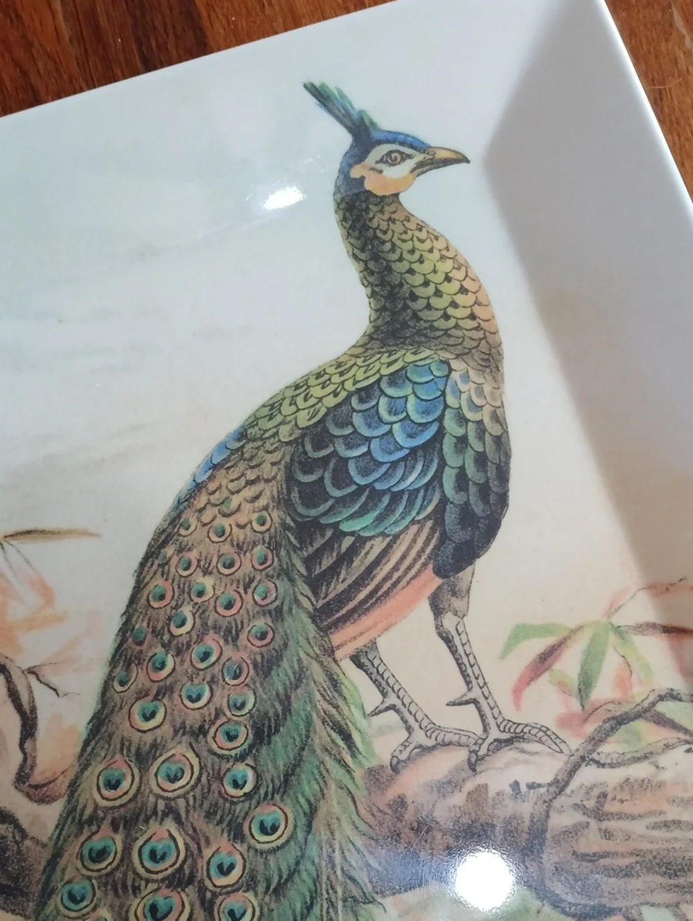 Pottery Barn Peacock Melamine Tray